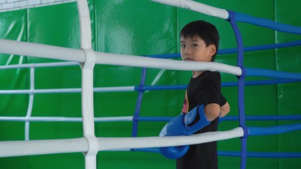 Uma Criança Com Uma Aparência Asiática Vestindo Boxe Olha Com — Vídeo de Stock