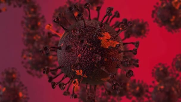 Патогенные Клетки Коронавируса 2019 Года Перемещаются Организме Человека Рендеринг — стоковое видео