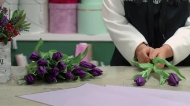 Çiçekçi mor lalelerden bir buket toplar..