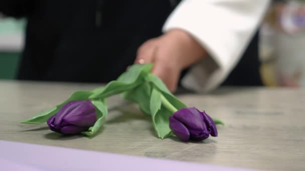 Florist Collects Bouquet Purple Tulips — Stock Video