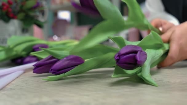 Florist Collects Bouquet Purple Tulips Close — Stock Video