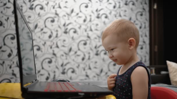 Charming Genius Kid Years Old Writes Words His Laptop — Stock Video