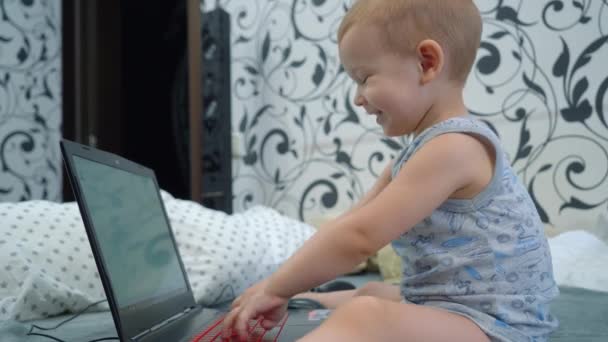 チャーミング天才子供2歳タイピング言葉で彼のラップトップ — ストック動画