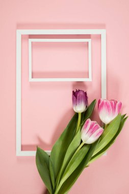 Laleli bahar arkaplanı, pembe arkaplanda çerçeve