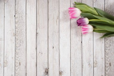 Lalelerle bahar arkaplanı, wodden arkaplanda çerçeve