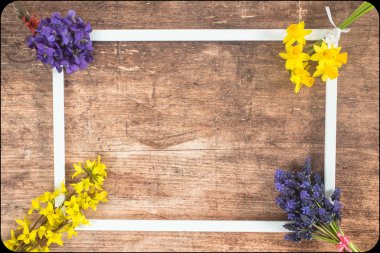 İlk bahar çiçeklerinden biri ahşap arka planda, bukete yerleştirilmiş.