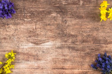 İlk bahar çiçeklerinden biri ahşap arka planda, bukete yerleştirilmiş.