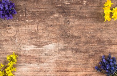 İlk bahar çiçeklerinden biri ahşap arka planda, bukete yerleştirilmiş.