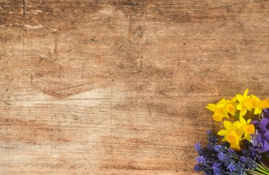 İlk bahar çiçeklerinden biri ahşap arka planda, bukete yerleştirilmiş.