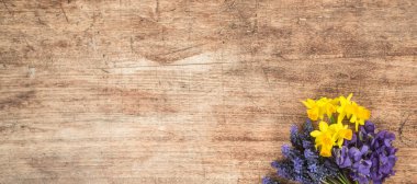 İlk bahar çiçeklerinden biri ahşap arka planda, bukete yerleştirilmiş.