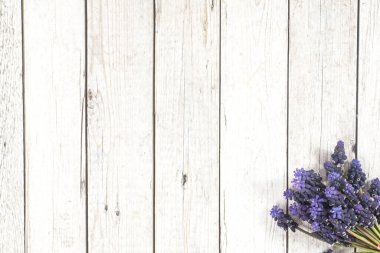 İlk bahar çiçeklerinden biri ahşap arka planda, bukete yerleştirilmiş.