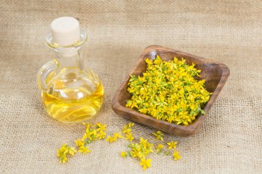 Aziz John otunu delmek çok nadir ve sağlıklı bir bitkidir.