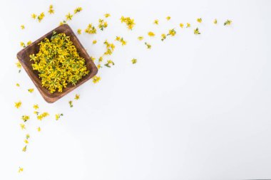 Aziz John otunu delmek çok nadir ve sağlıklı bir bitkidir.