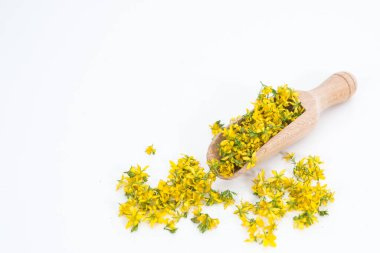 Aziz John otunu delmek çok nadir ve sağlıklı bir bitkidir.