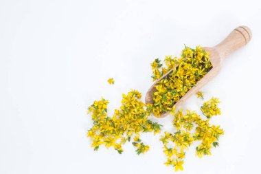 Aziz John otunu delmek çok nadir ve sağlıklı bir bitkidir.