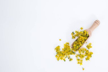 Aziz John otunu delmek çok nadir ve sağlıklı bir bitkidir.