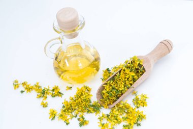 Aziz John otunu delmek çok nadir ve sağlıklı bir bitkidir.