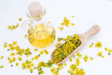 Aziz John otunu delmek çok nadir ve sağlıklı bir bitkidir.