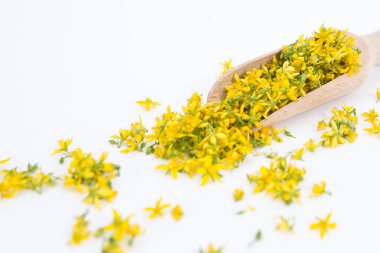 Aziz John otunu delmek çok nadir ve sağlıklı bir bitkidir.