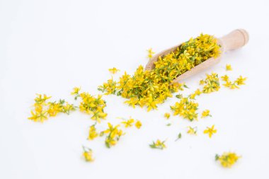 Aziz John otunu delmek çok nadir ve sağlıklı bir bitkidir.