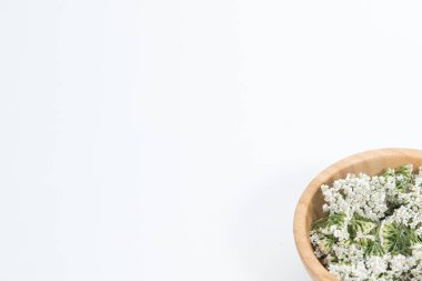 Beyaz arkaplanda Taze Yarrows çiçekleri