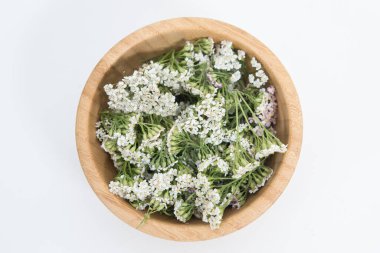 Beyaz arkaplanda Taze Yarrows çiçekleri