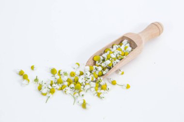 Beyaz arka planda kaşığı olan papatya çiçekleri.