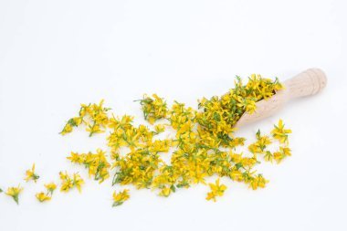 Aziz John otunu delmek çok nadir ve sağlıklı bir bitkidir.