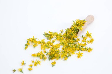 Aziz John otunu delmek çok nadir ve sağlıklı bir bitkidir.