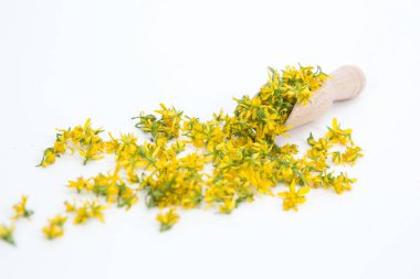 Aziz John otunu delmek çok nadir ve sağlıklı bir bitkidir.