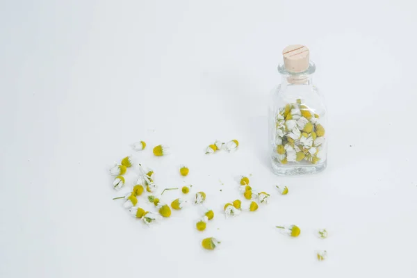 Kamillenblüten Mit Dem Löffel Auf Weißem Hintergrund — Stockfoto