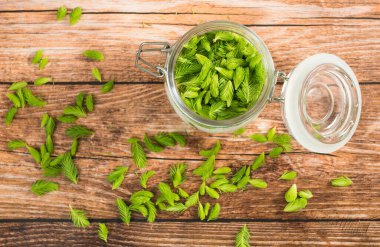 Taze çam iğneleri: onları şekerle hazırlıyoruz: endresult vitaminlerle dolu bir şurup.