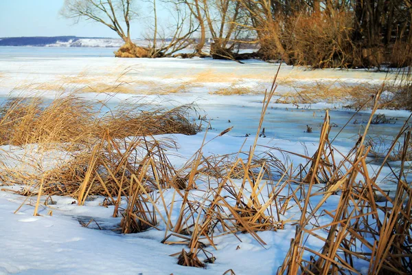 Озеро Находится Льдом Снегом Солнечный День Сухая Трава Деревья Берегу — стоковое фото