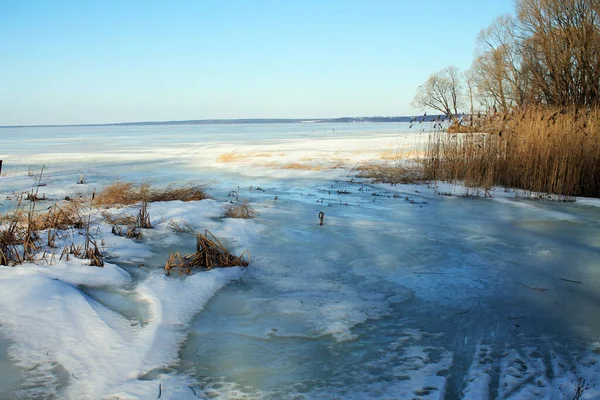 Göl buz ve karın altında. Güneşli bir gün. Kuru çimenler ve ağaçlar kıyıda.