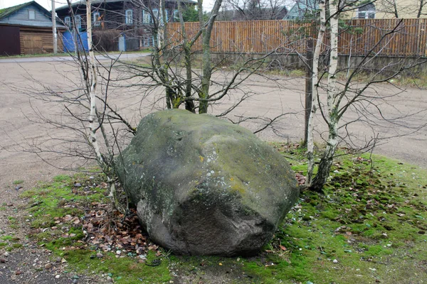 Ağaçların yanında büyük bir taş.