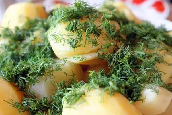 Yeşil dereotlu haşlanmış patates serpiştirilmiş. Lezzetli yemek..