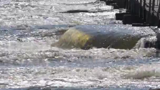 Pequena barragem do outro lado do rio — Vídeo de Stock