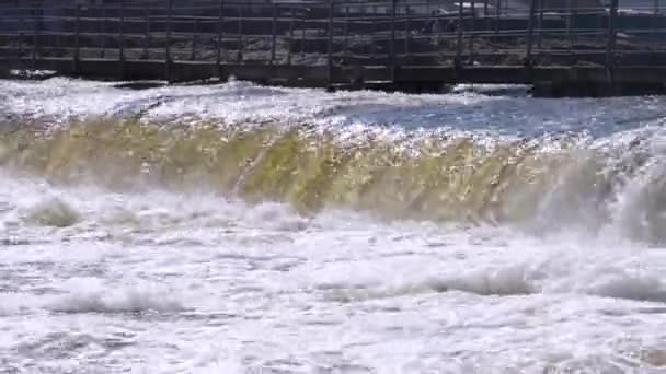 Kleine dam over de rivier — Stockvideo