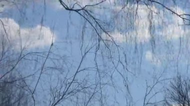 Şube ve gökyüzü hızlı hareket