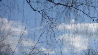 Şube ve gökyüzü hızlı hareket