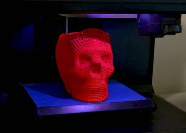 3d bir yazıcıda yazdırılan kafatası