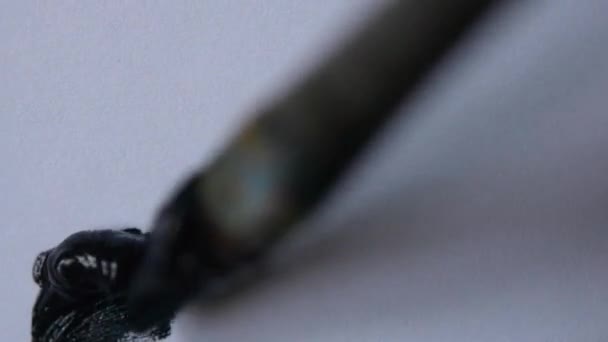 Рисование макроса черной кисти — стоковое видео