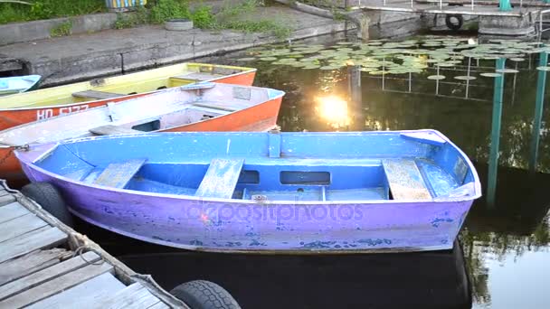 Vieux bateaux minables près de — Video