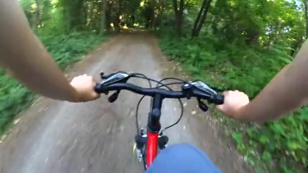 Велоспорт в лесу по грунтовой дороге — стоковое видео