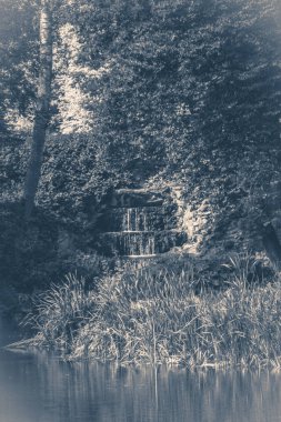 OID vintage fotoğraf. Park Orman Gölü şelale