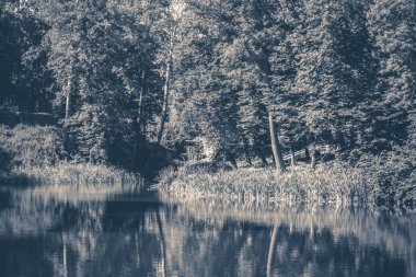 OID vintage fotoğraf. Park Orman Gölü şelale