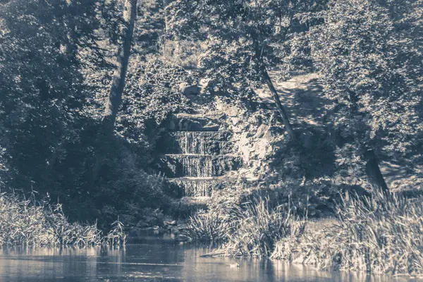 OID vintage fotoğraf. Park Orman Gölü şelale — Stok fotoğraf