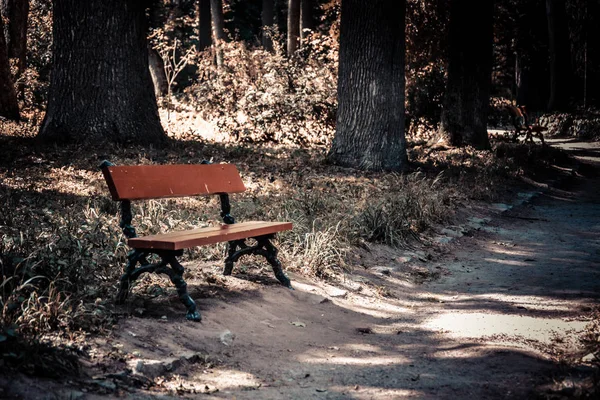 Banco en el parque — Foto de Stock