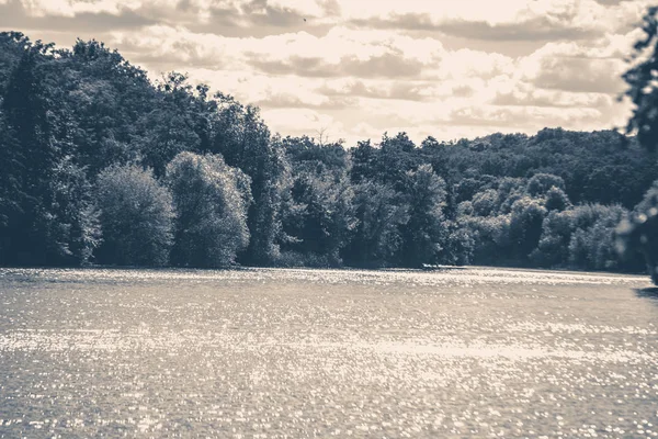 Eski vintage fotoğraf. Nehir güneş parlamayı kıyı ağaçlar orman
