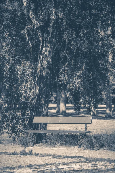 Foto antigua de época. Banco del parque día soleado verano — Foto de Stock